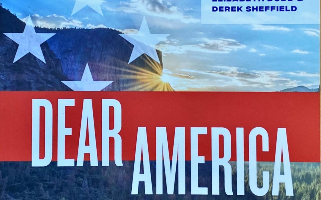 “Come November” Dear America Anthology (2020)