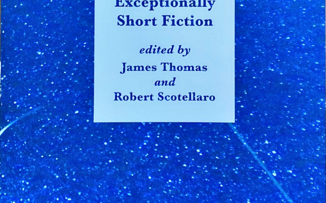 New Micro Fiction Anthology (2018)